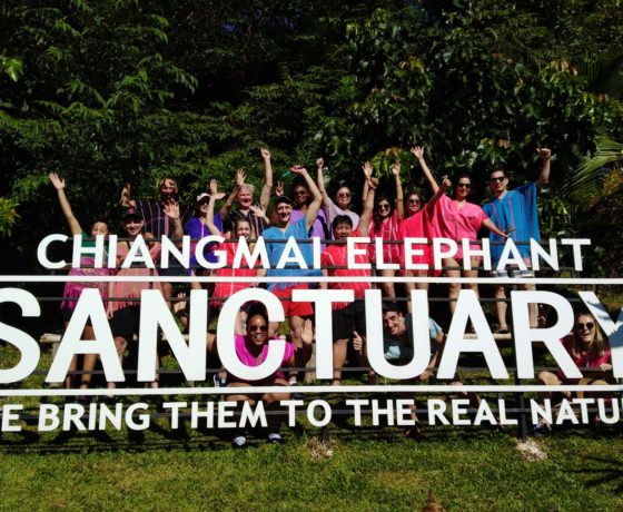 CHIANG MAI ELEPHANT SANCTUARY